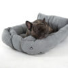 Copyright © Doggie's Dream Pelech-pre-psa-L-sedy-3