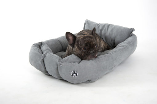 Copyright © Doggie's Dream Pelech-pre-psa-L-sedy-3
