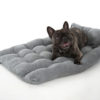 Copyright © Doggie's Dream Pelech-pre-psa-L-sedy-4