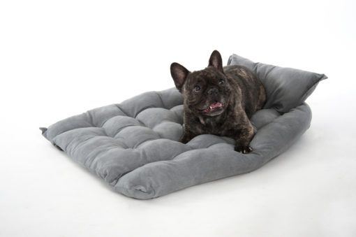 Copyright © Doggie's Dream Pelech-pre-psa-L-sedy-4