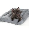 Copyright © Doggie's Dream Pelech-pre-psa-L-sedy-5