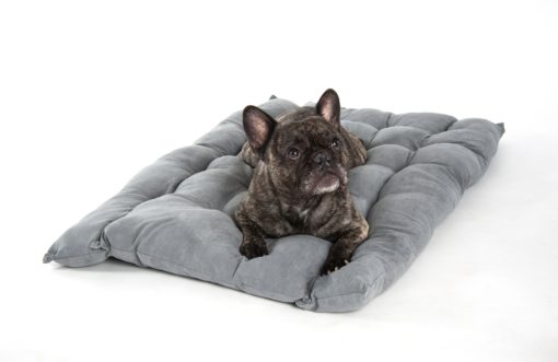 Copyright © Doggie's Dream Pelech-pre-psa-L-sedy-5