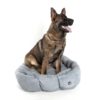 Copyright © Doggie's Dream Pelech-pre-psa-XL-sedy-3